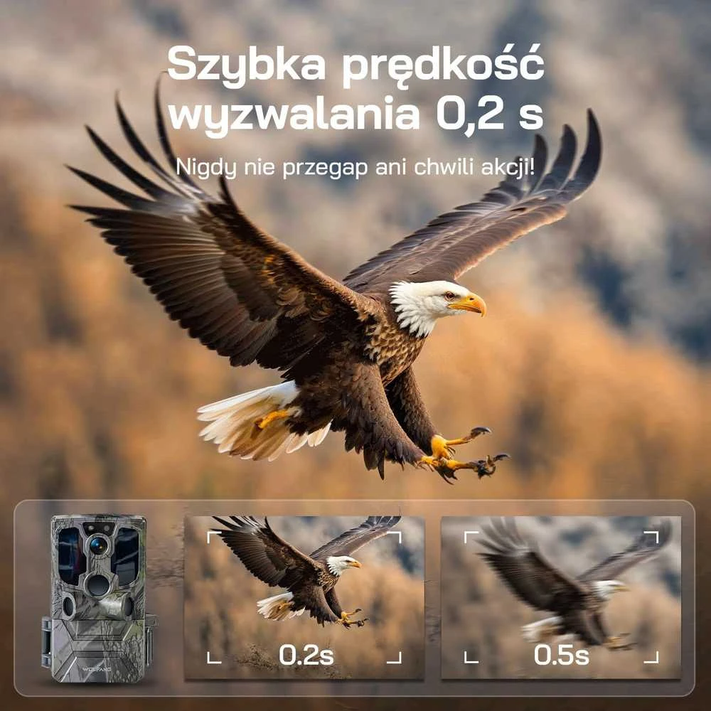 WOLFANG saulės energija maitinama 4G LTE lauko kamera, 2.5 K naktinis matymas, IP66, WT04