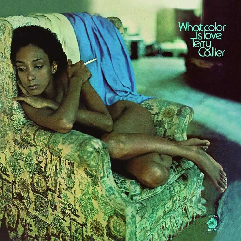 Terry Callier - What Color Is Love (vinilinė plokštelė, LP)