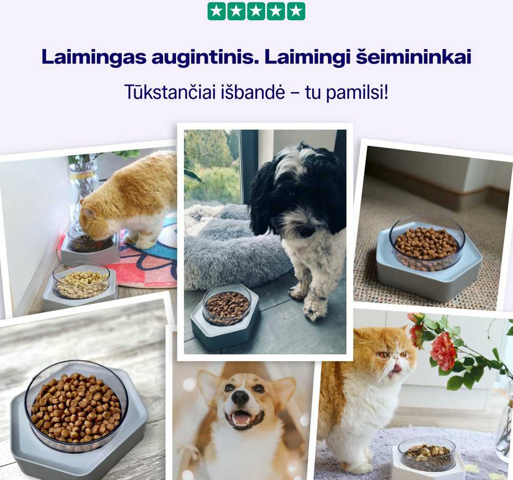 Cattu Augintinio dubenėlis su laikikliu, skaidrus / pilkas