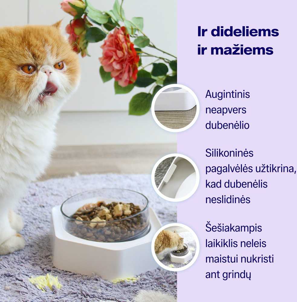 Cattu Augintinio dubenėlis su laikikliu, skaidrus / pilkas