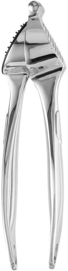 Berghoff BergHOFF Essentials 1301107, Handle garlic press, Nerūdijantis plienas, Zinc, 195 mm