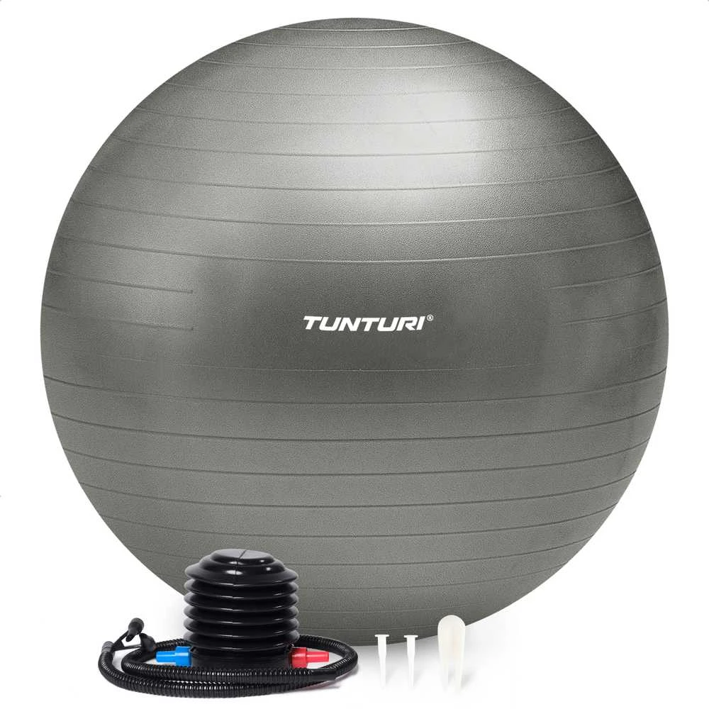 Tunturi Gymball 65cm, sidabrinis