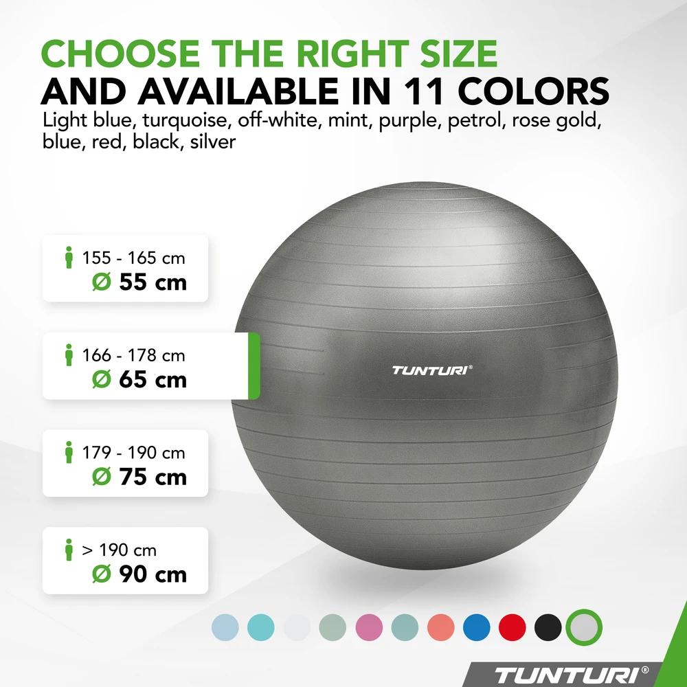 Tunturi Gymball 65cm, sidabrinis