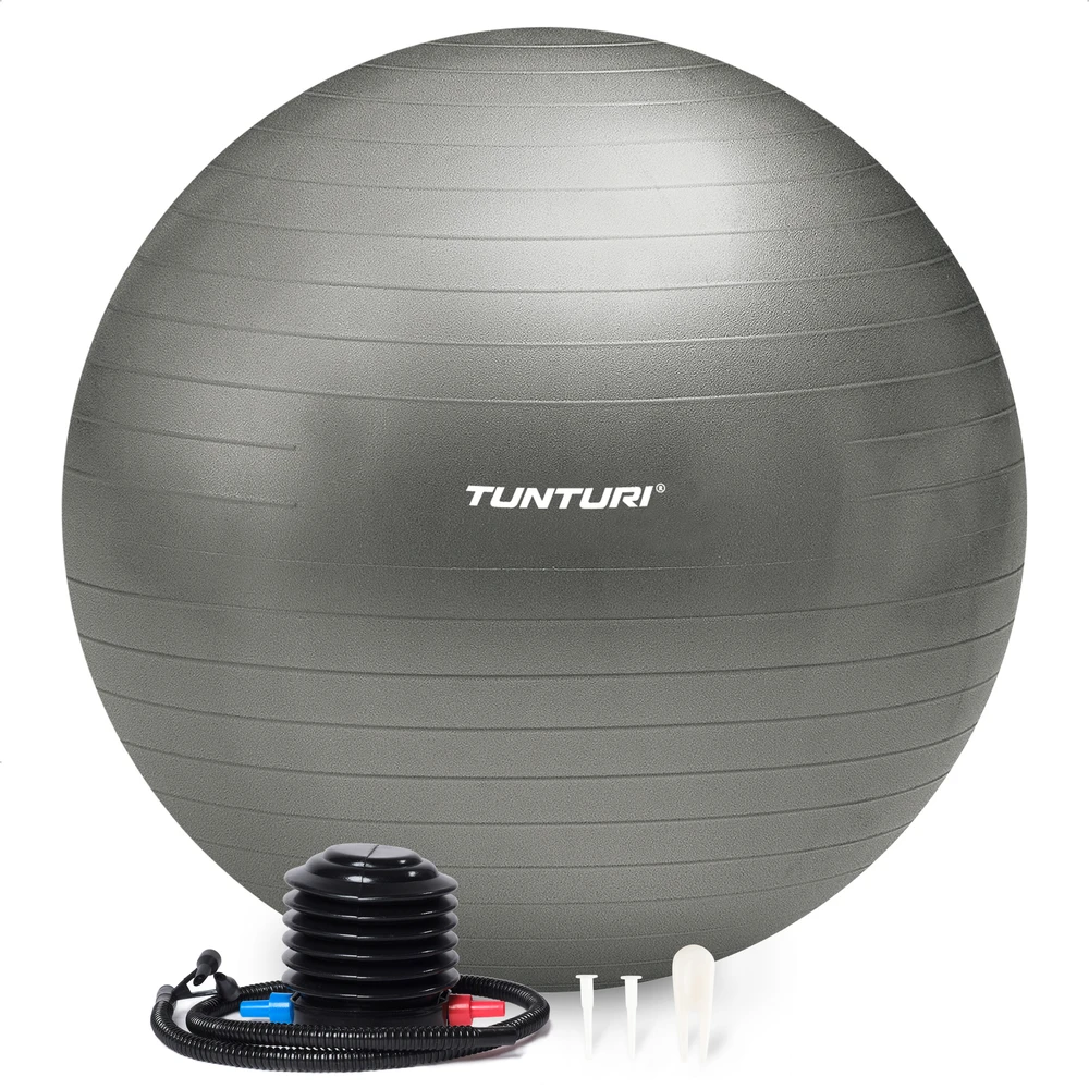 Kita Tunturi Gymball 65cm, sidabrinis