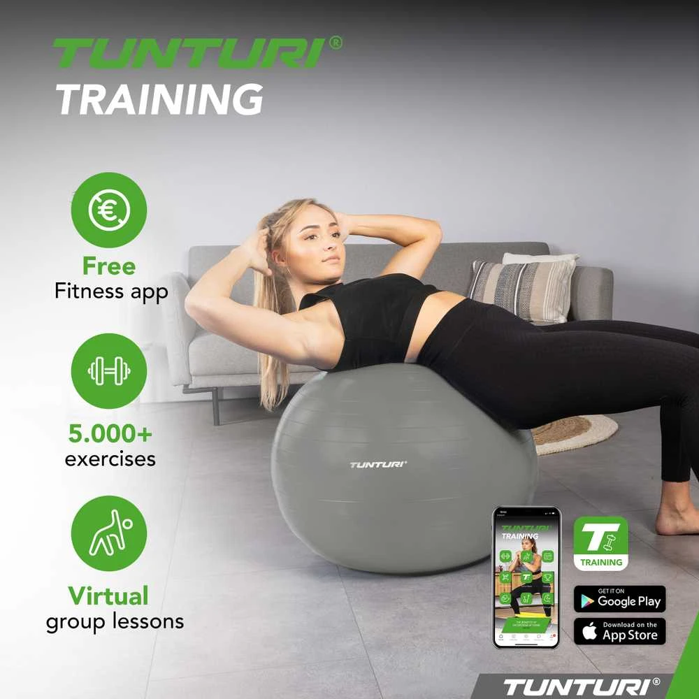 Tunturi Gymball 65cm, sidabrinis