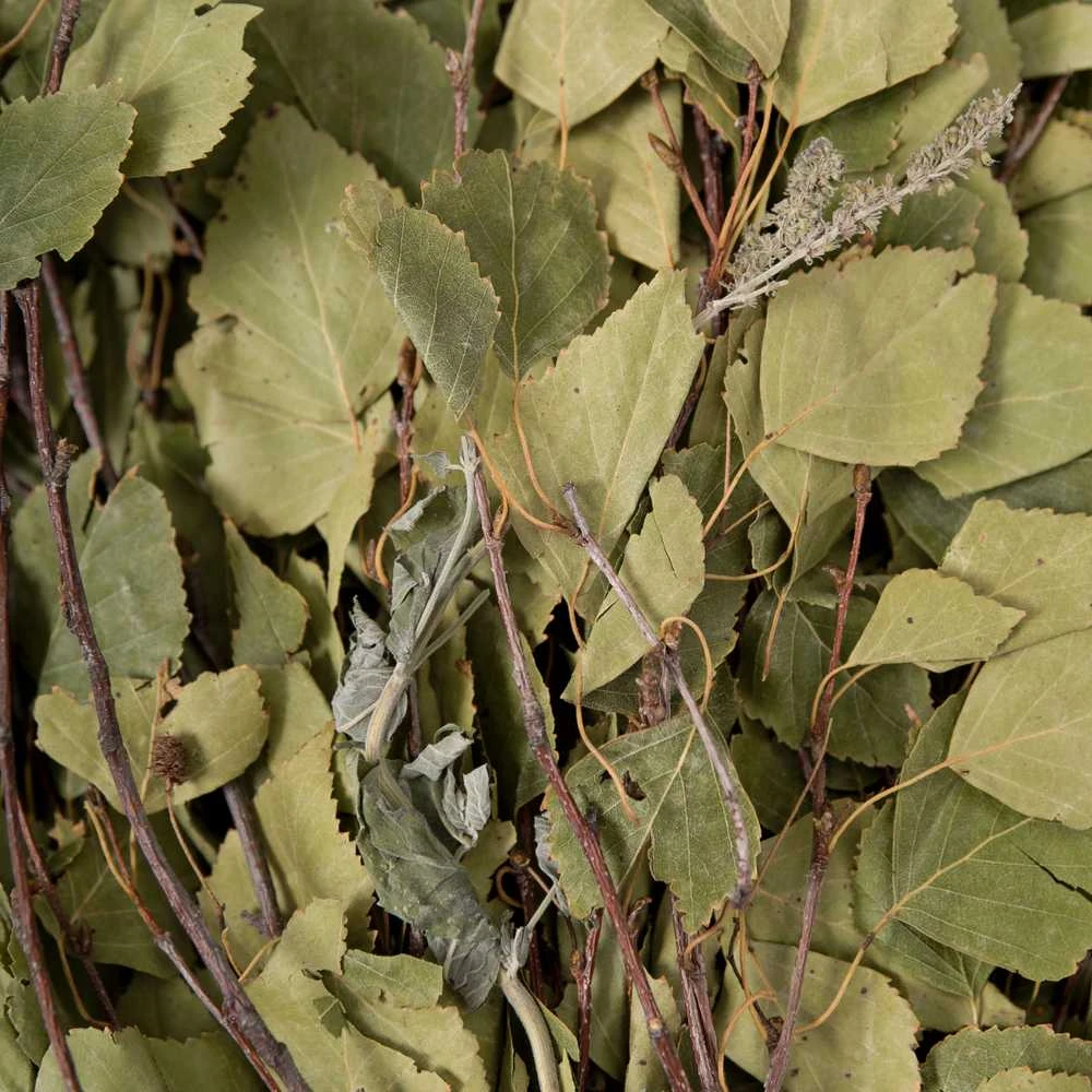 Beržo vanta su žolelėmis
