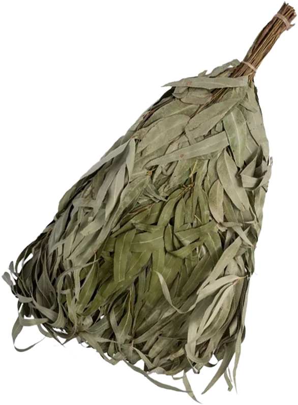 Eukalipto vanta