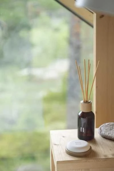 RENTO aromatinis kvapas su lazdelėmis, arktinės uogos 100 ml