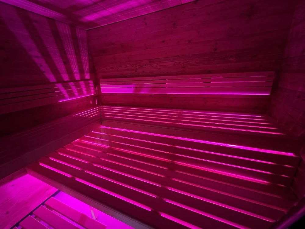 Sieninis šviestuvas SAUFLEX LED šviestuvas su valdymo įrenginiu, 100 W