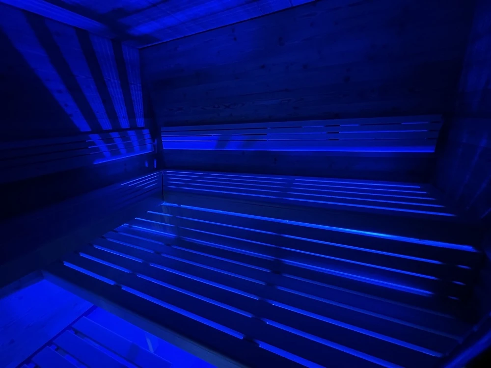 Sieninis šviestuvas SAUFLEX LED šviestuvas su valdymo įrenginiu, 100 W