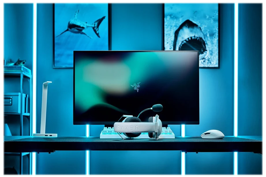 Razer BlackShark V2 Pro belaidės ausinės (2023), Baltos spalvos