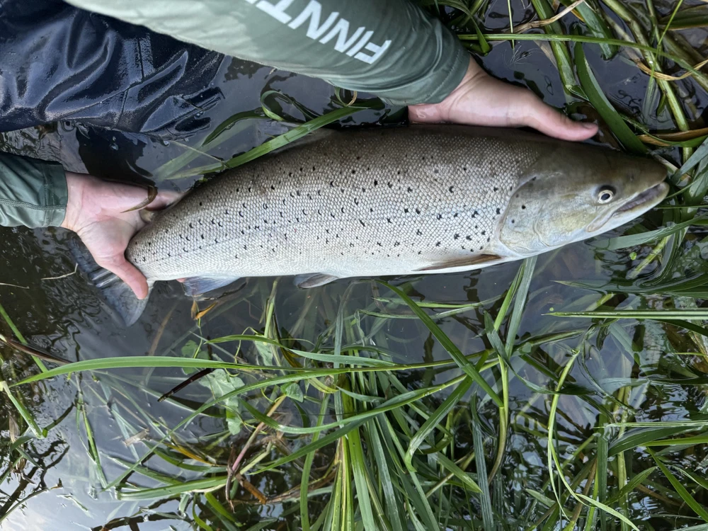 Bridkelnės Finntrail WADEMAN Pilkas 1524, Dydis: XLL