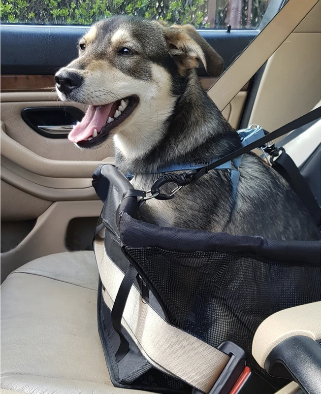 Dog Carrier for Seat Purlov 20973