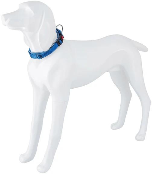 Freedog Import Sl Freedog Extreme mėlynas nailoninis antkaklis šuniui 15 mm x 25–36 cm