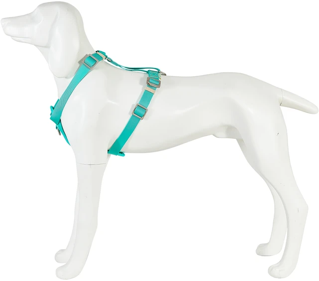 Freedog Import Sl Freedog Saferide turkio spalvos saugos petnešos šuniui M 25 mm x 43/58 cm
