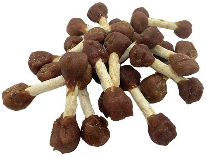 HiBrand Sp. z o.o. Bubu Pets šunų hanteliai su antiena 500g