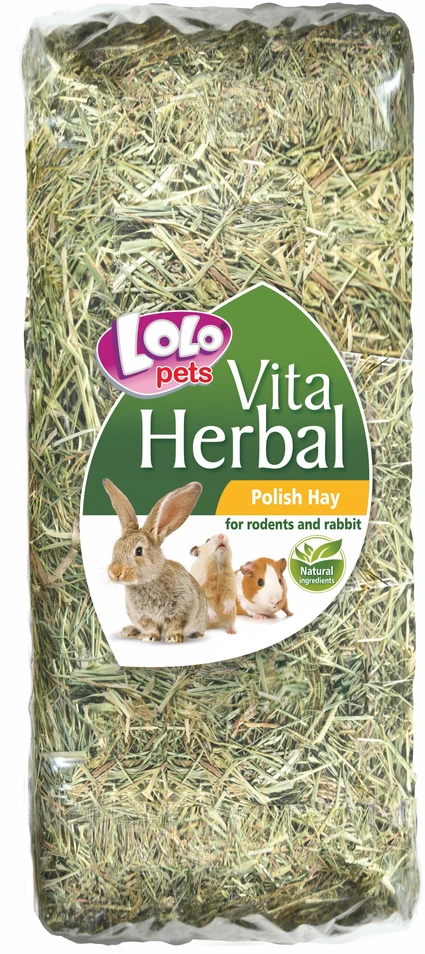 Pw Hobby Lolo Pets Classic SIANO graužikams 500g