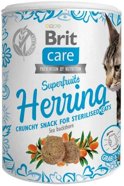 BRIT CARE Cat Superfruits Salmon skanėstai 100g