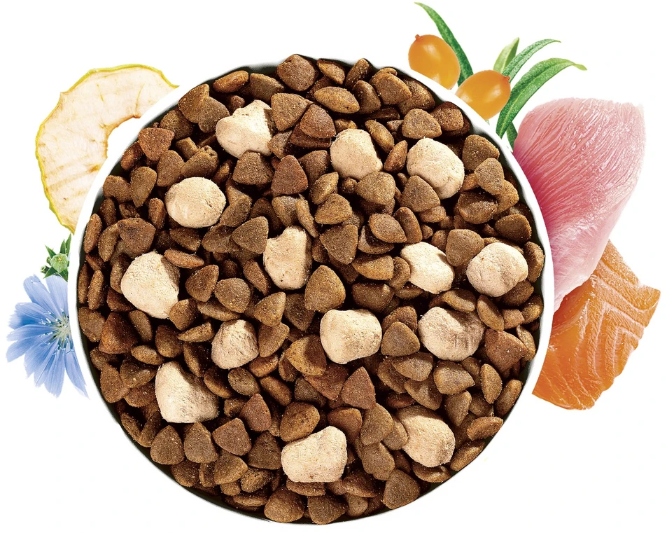 Vafo Praha Sro Brit Care Grain-Free Haircare with Raw Delights kačių maistas 2kg