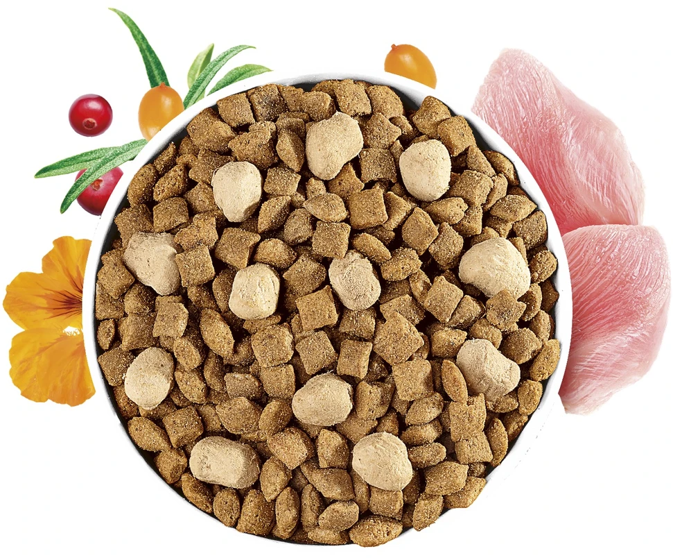 Vafo Praha Sro Brit Care Grain-Free Sterilized with Raw Delights kačių ėdalas 2kg