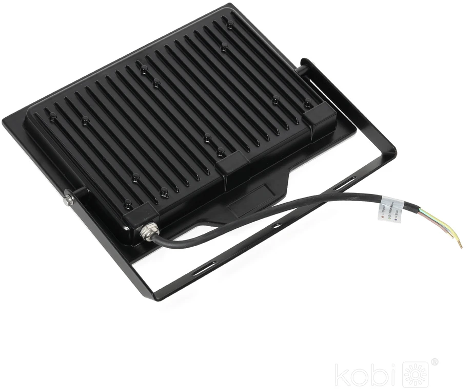 100W LED prožektorius DELYO MHN, juodas, 4000K, IP65