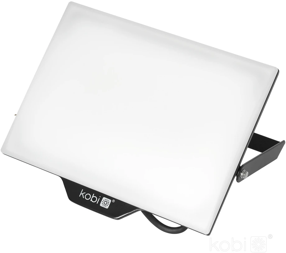 100W LED prožektorius DELYO MHN, juodas, 6000K, IP65