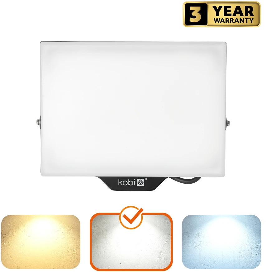 100W LED prožektorius DELYO MHN, juodas, 4000K, IP65