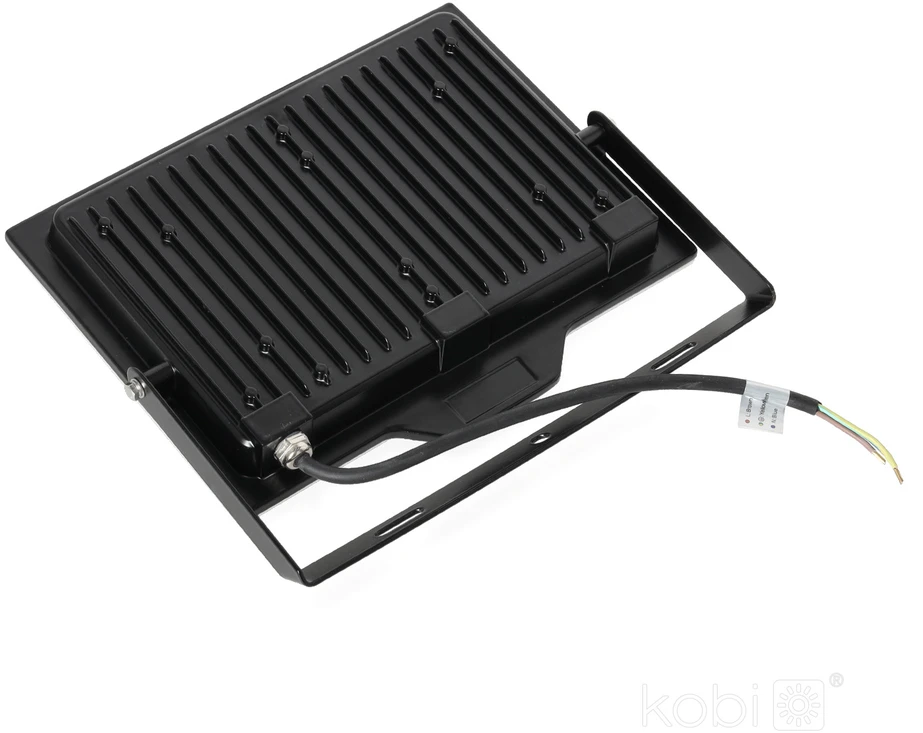 100W LED prožektorius DELYO MHN, juodas, 6000K, IP65
