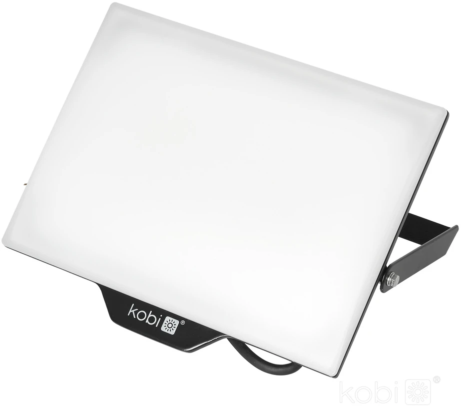 100W LED prožektorius DELYO MHN, juodas, 4000K, IP65