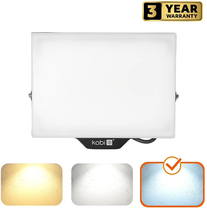 100W LED prožektorius DELYO MHN, juodas, 6000K, IP65
