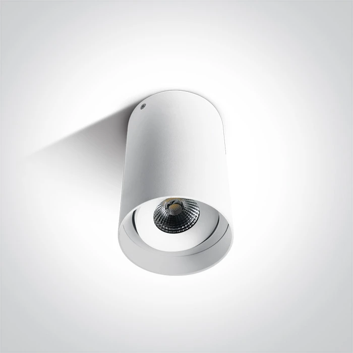 Lubinis šviestuvas 10W LED cilindro formos šviestuvas, baltas, 3000K, 12110D/W/W