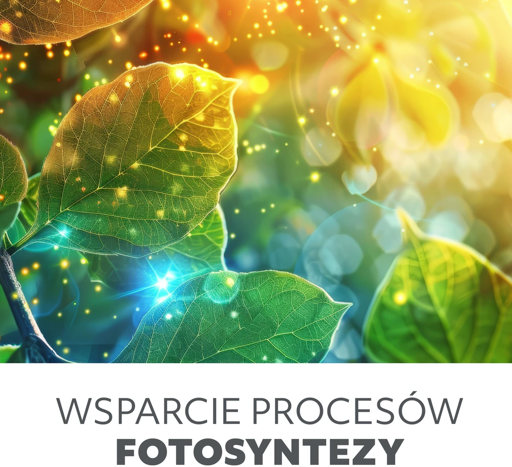 10W LED pastatomas šviestuvas augalų auginimui VITARO, juodas