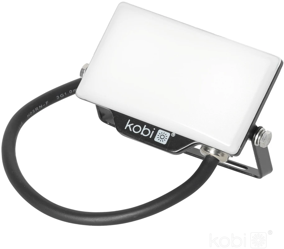 10W LED prožektorius DELYO MHN, juodas, 4000K, IP65