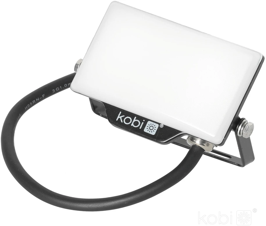 10W LED prožektorius DELYO MHN, juodas, 6000K, IP65
