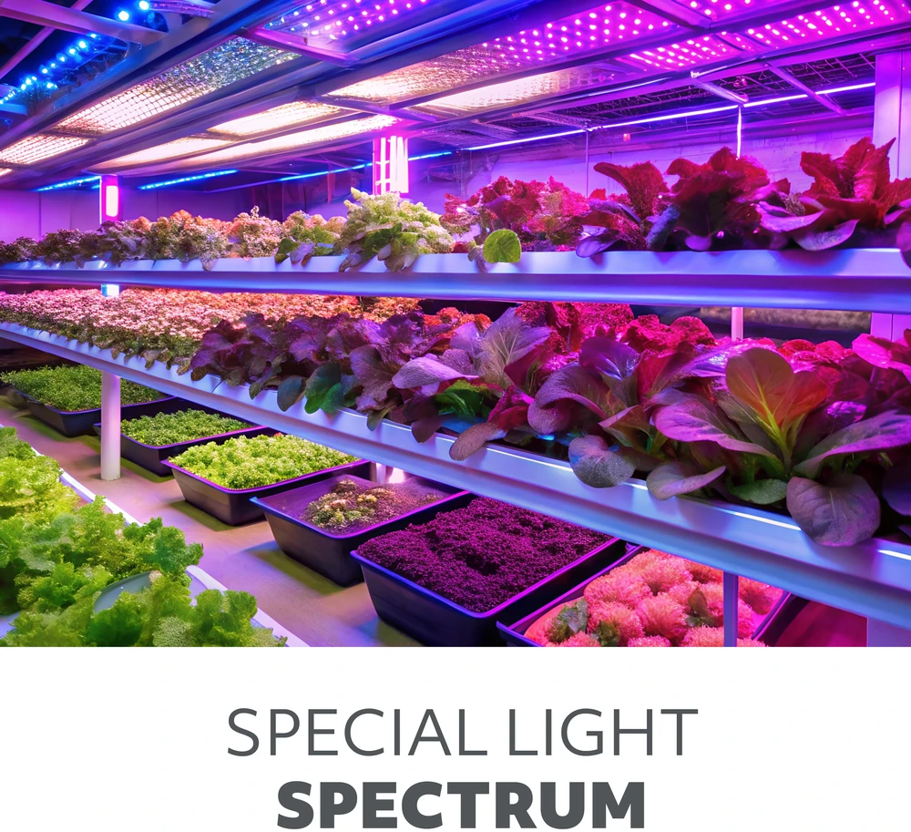 10W LED stalo šviestuvas augalų auginimui VITARO, juodas