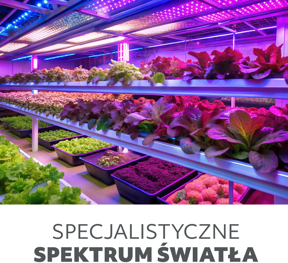 10W LED stalo šviestuvas augalų auginimui VITARO, juodas
