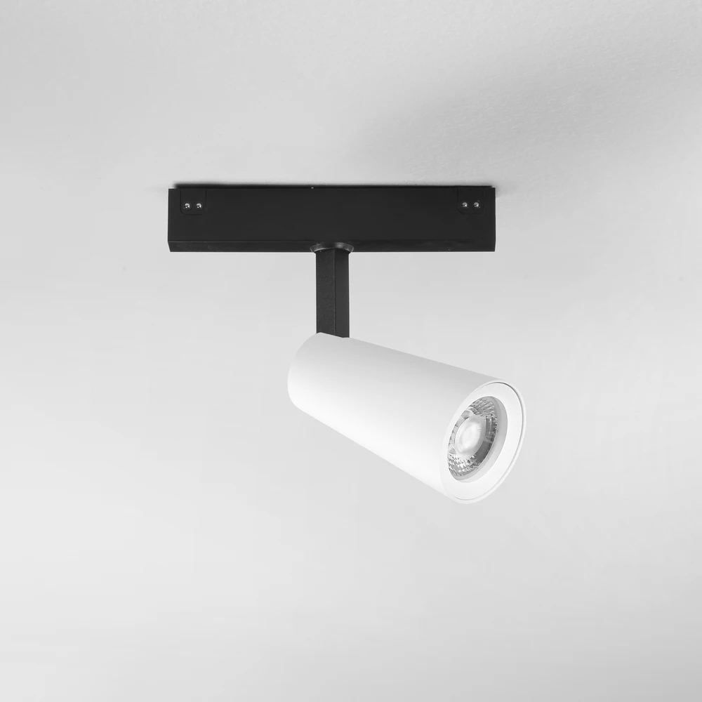 10W LED šviestuvas, montuojamas į DAVINCI sistemą, baltas, 3000K