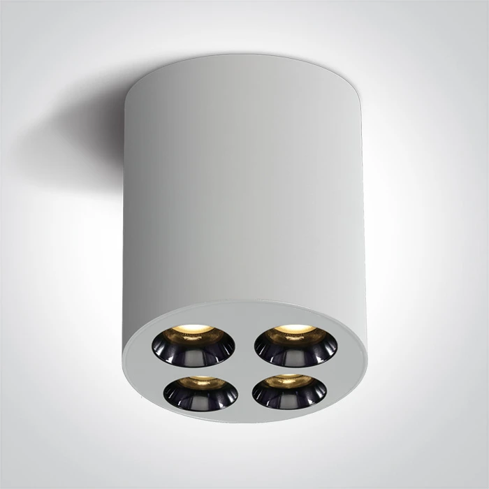 Lubinis šviestuvas 10W paviršinis šviestuvas, baltas, 3000K, 12110H/W/W