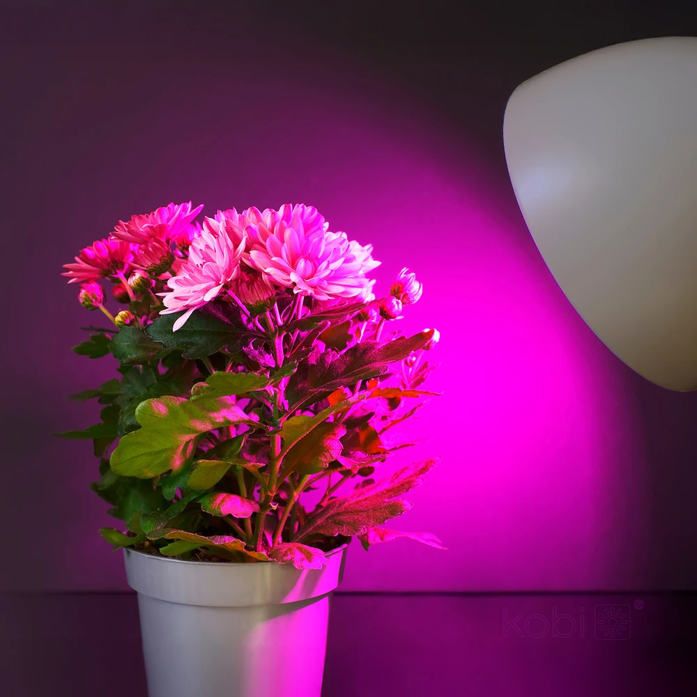 11W LED augalų auginimo lemputė PLANTY, E27, balta, 1200K