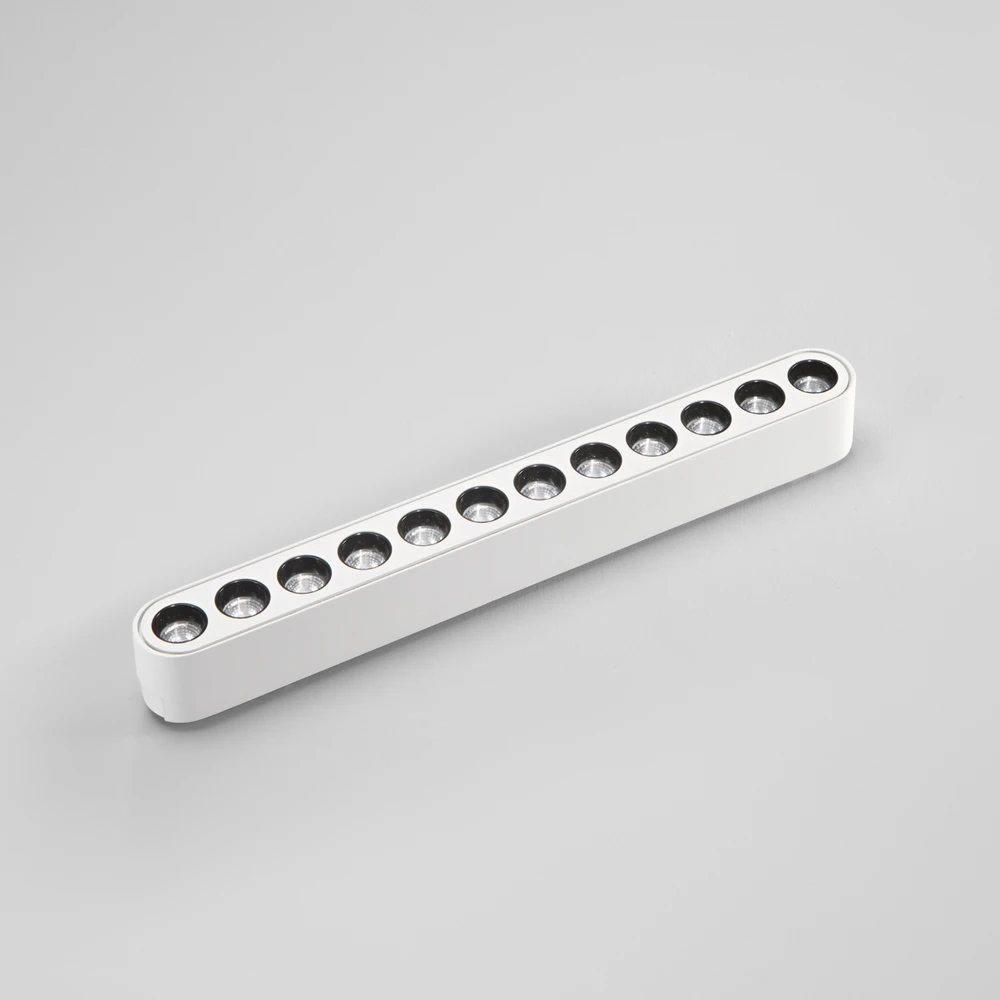 12W LED šviestuvas, montuojamas į BERNINI sistemą, baltas, CCT