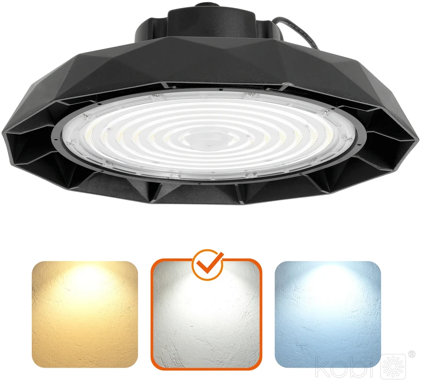 150W LED UFO šviestuvas ANICA, juodas, 4000K, IP65, DALI