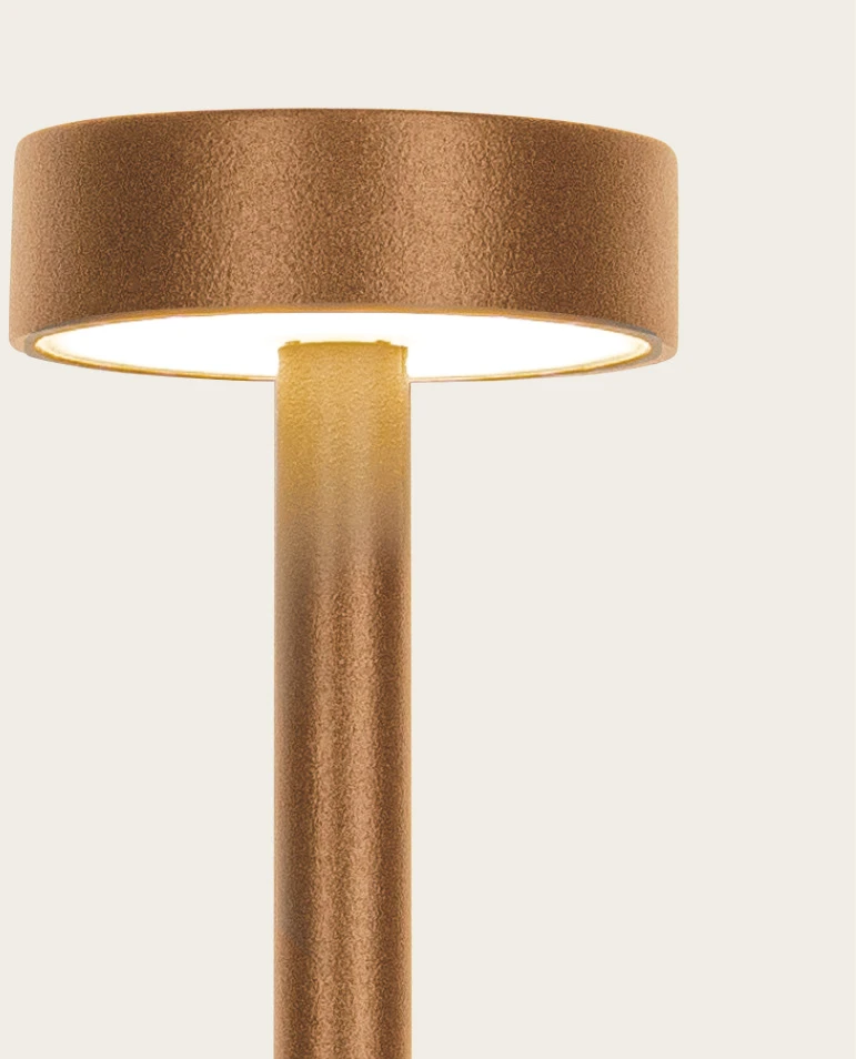 1,5W LED įsmeigiamas lauko šviestuvas, rudas, 3000K, IP65, E465