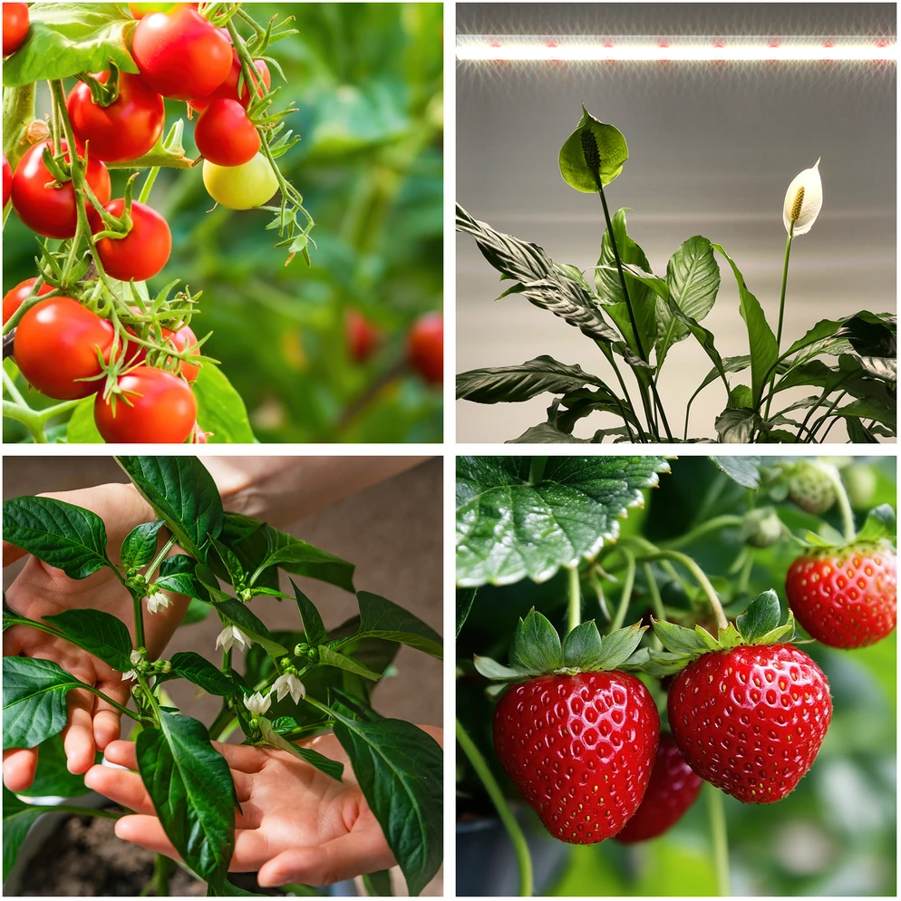 15W LED linijinis šviestuvas augalų auginimui GROWLY, baltas
