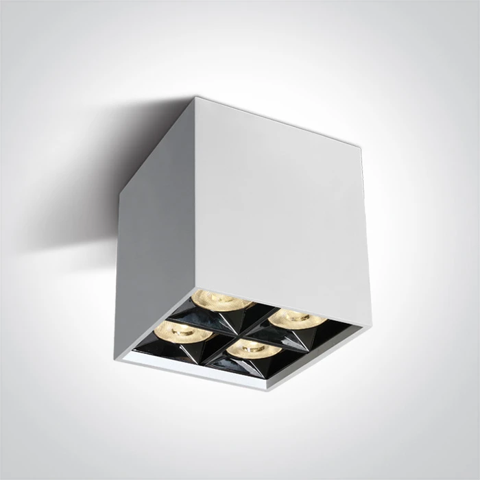 Lubinis šviestuvas 15W LED paviršinis šviestuvas, baltas, 3000K, 12406B/W/W