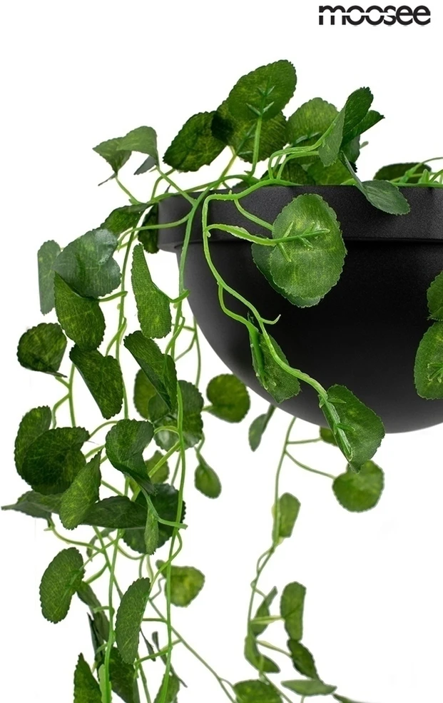 16W LED sieninis šviestuvas PLANT WALL, juodas, 3000K