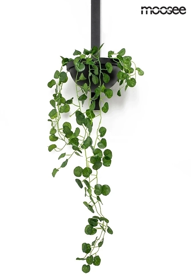 16W LED sieninis šviestuvas PLANT WALL, juodas, 3000K