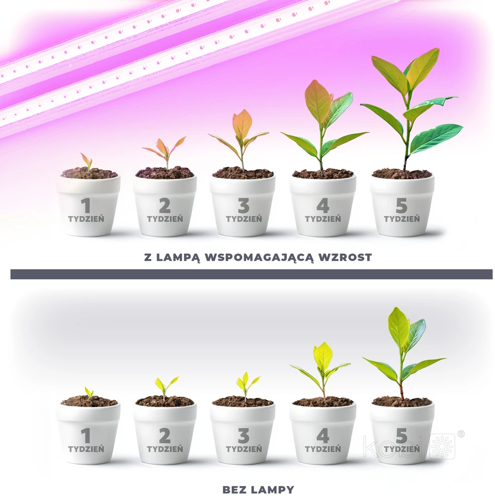 17W LED linijinis šviestuvas augalų auginimui GROWLY, baltas