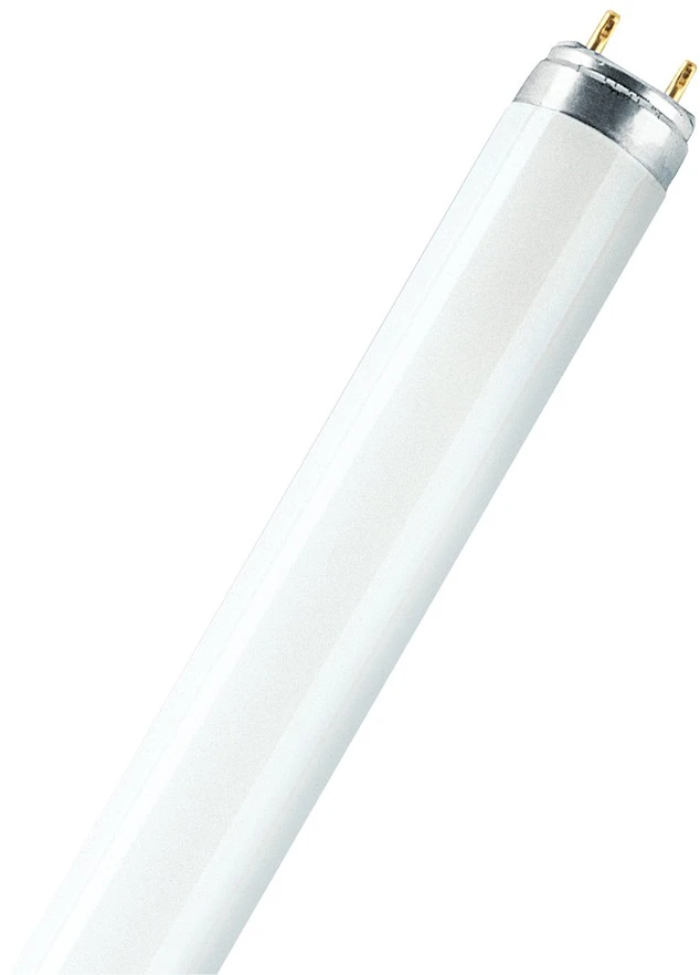Osram 18W lempa LUMILUX T8, G13, 6500K, 604mm