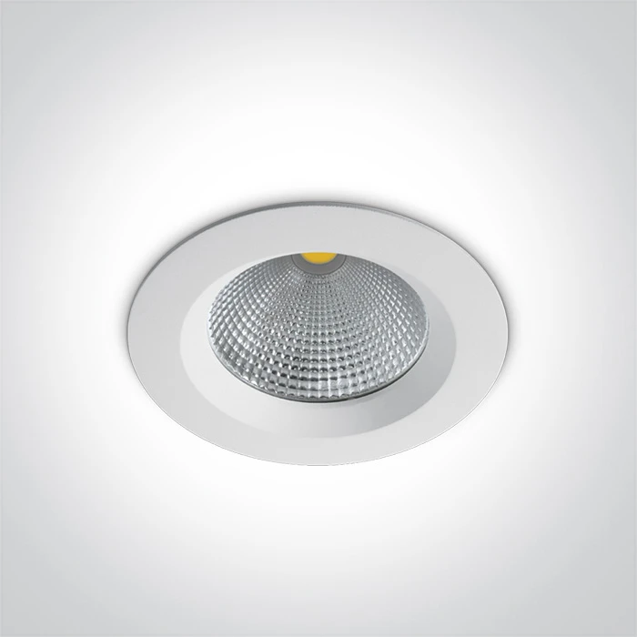 20W LED įleidžiamas šviestuvas, baltas, 4000K, 10120CA/W/C