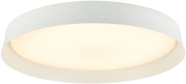 Lubinis šviestuvas 20W LED paviršinis lubų šviestuvas, baltas, 3000K, dimeriuojamas, 22127